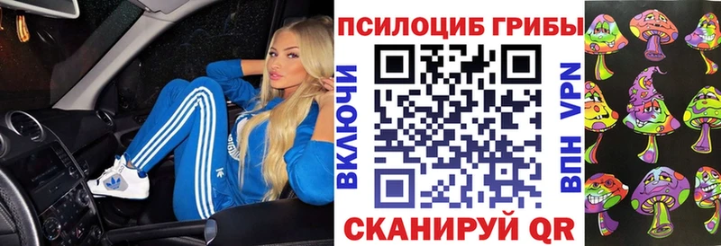 Купить где  Пошехонье  Псилоцибиновые грибы Psilocybine cubensis 